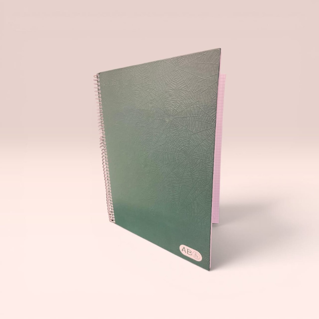 CUAD. 21x27 C/ESP.100HC.T/D.LISO VERDE RY